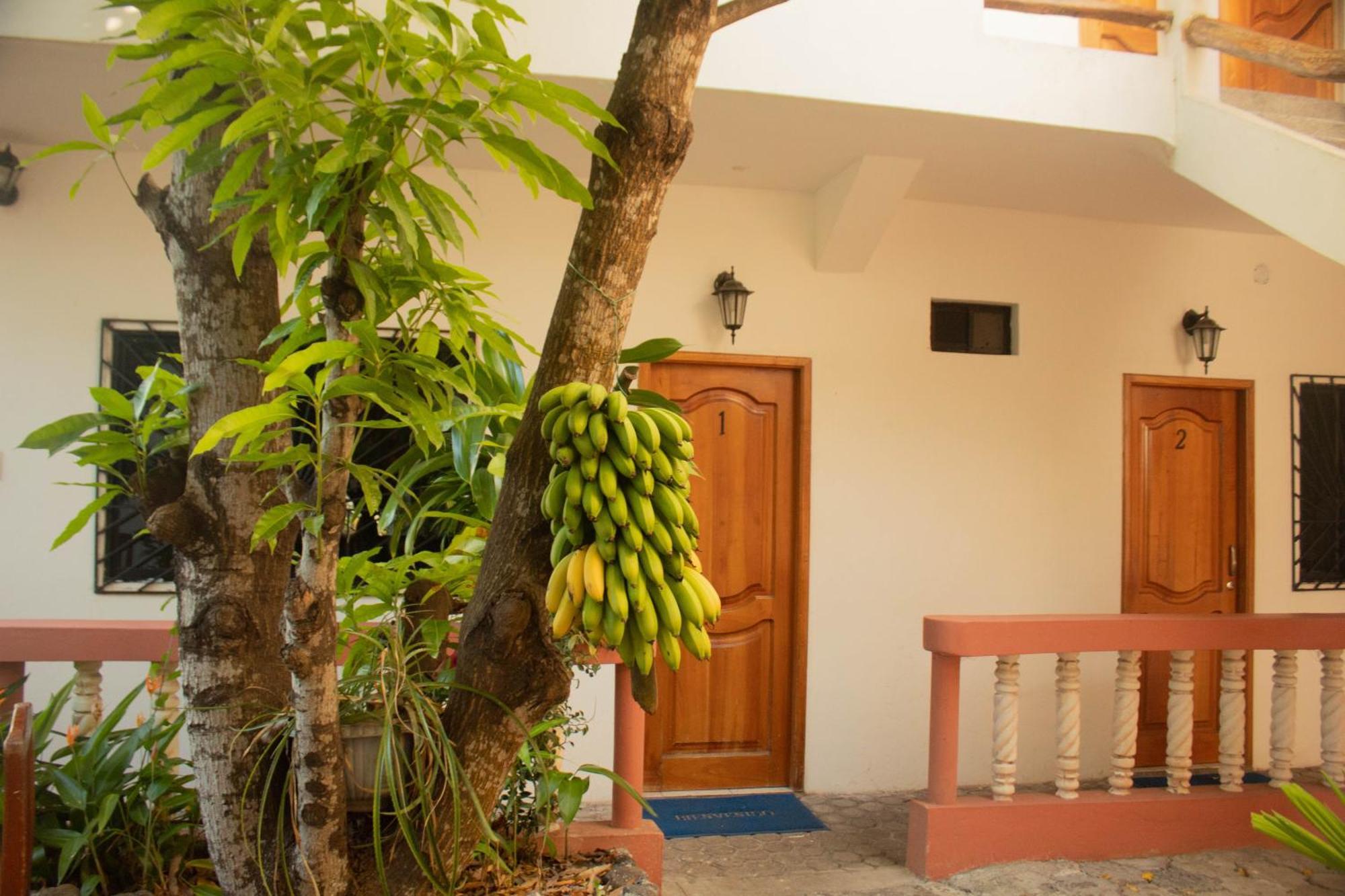 Casa De Nelly Hotel Пуерто Бакерисо Морено Екстериор снимка