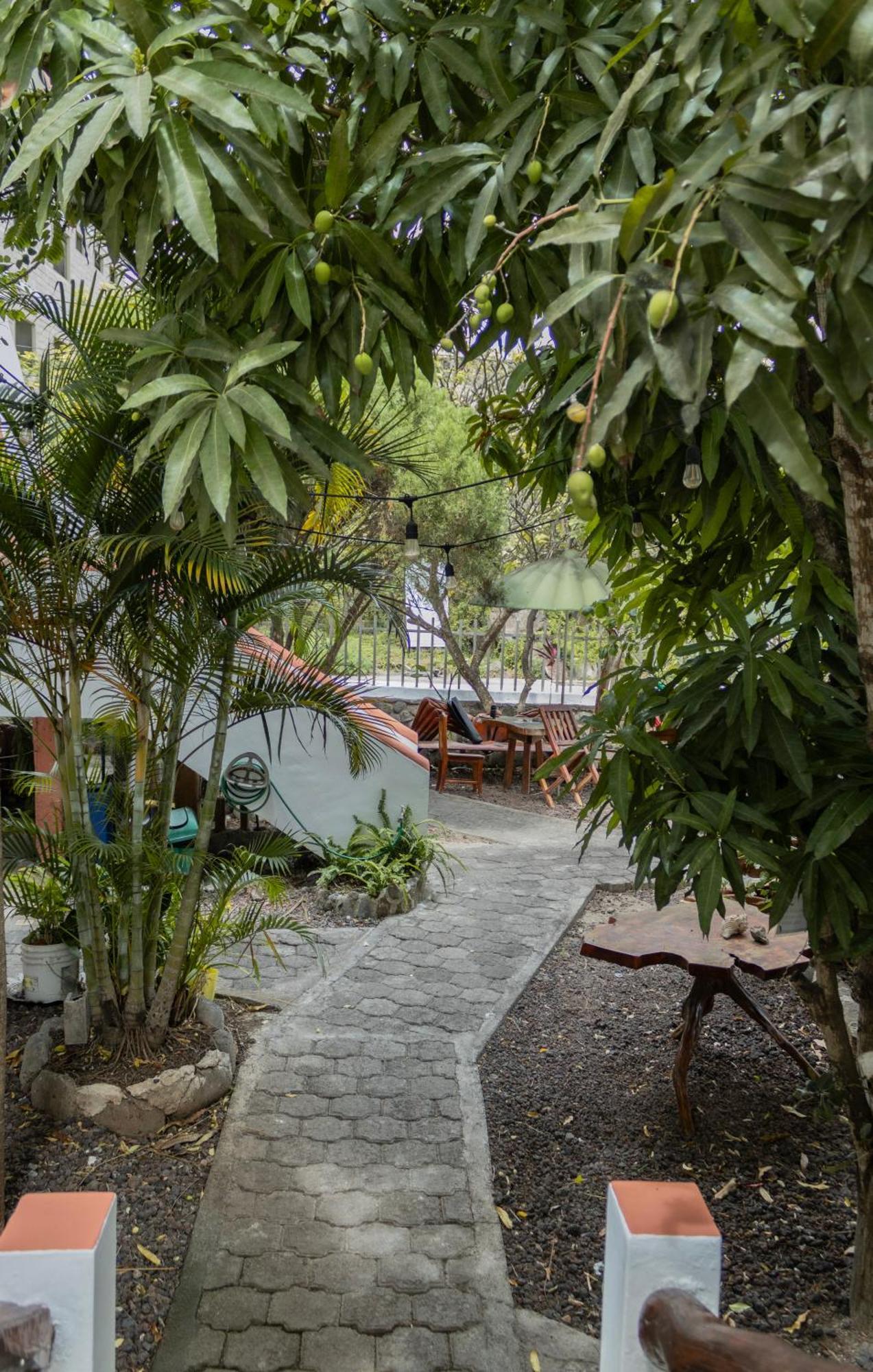 Casa De Nelly Hotel Пуерто Бакерисо Морено Екстериор снимка